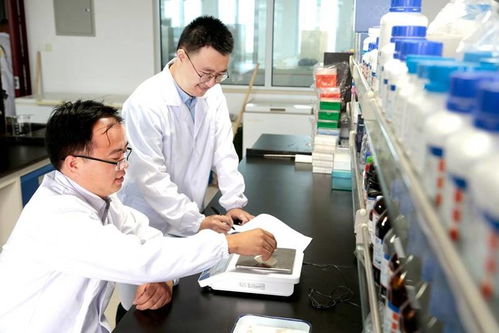 了不起的貓咪博士技術服務站成立 引領食養寵貓新潮流